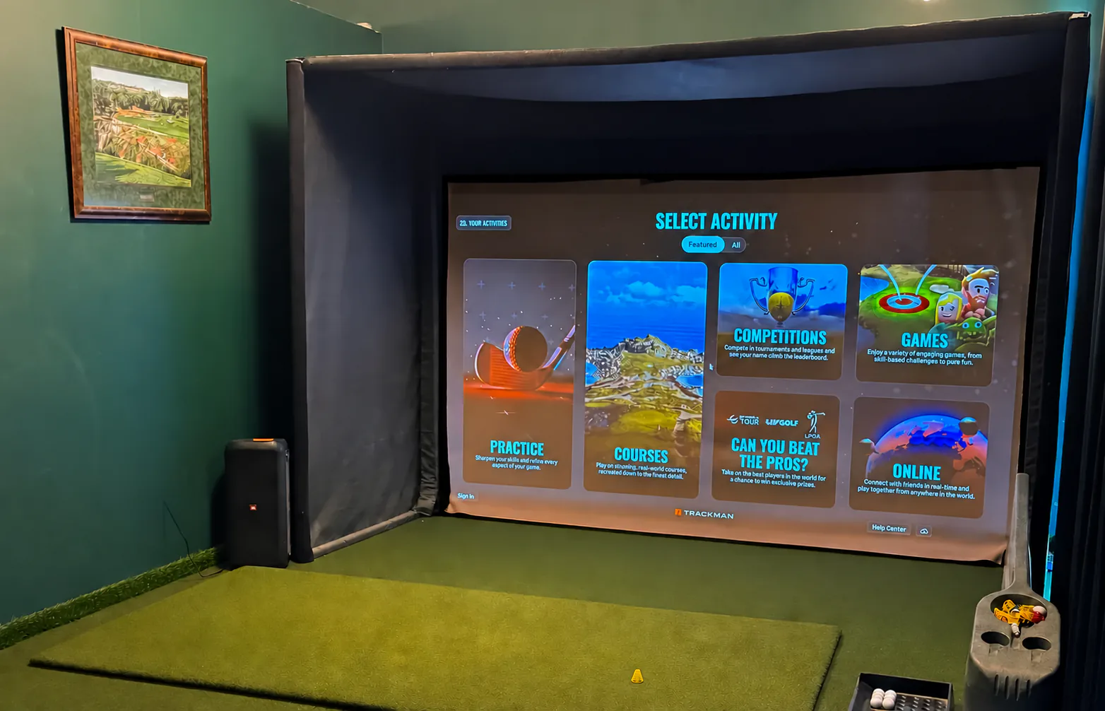 Bay 3 - Turf Room with premium hitting surface